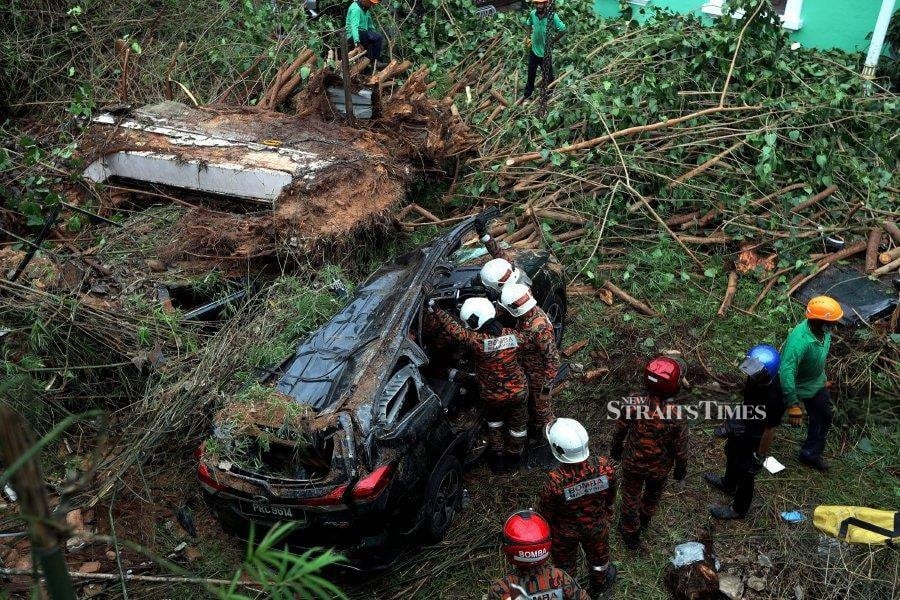 Family of Chinese tourists killed by uprooted tree files suit, seeks apology and RM1.7mil compensation