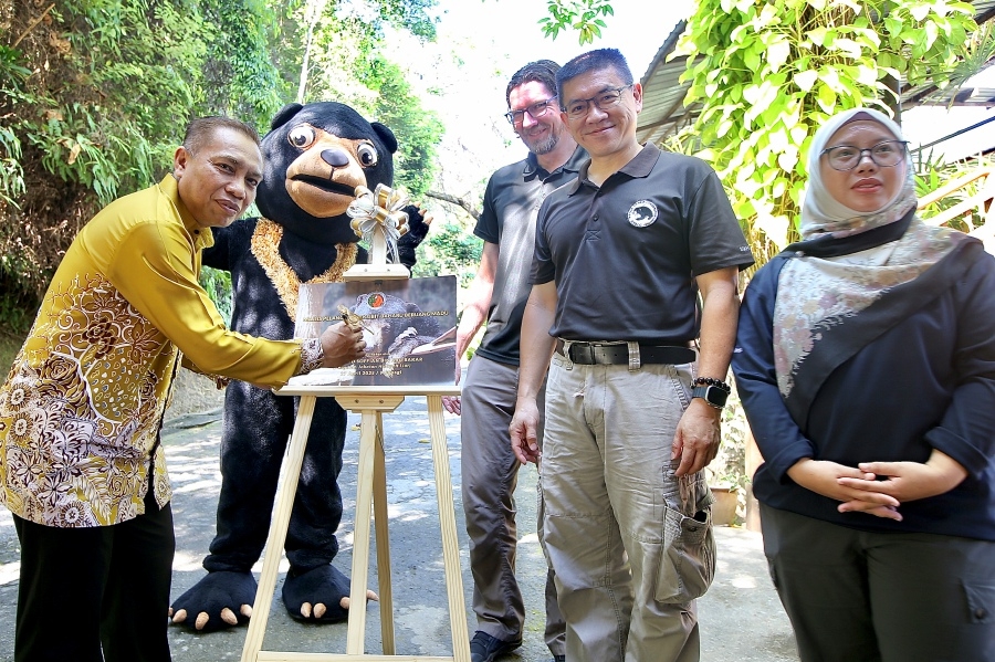Sabah Wildlife Department unveils upgraded sun bear exhibit