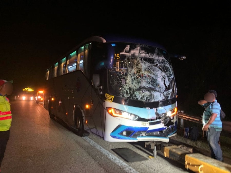 28 safe after bus crashes into trailer on expressway