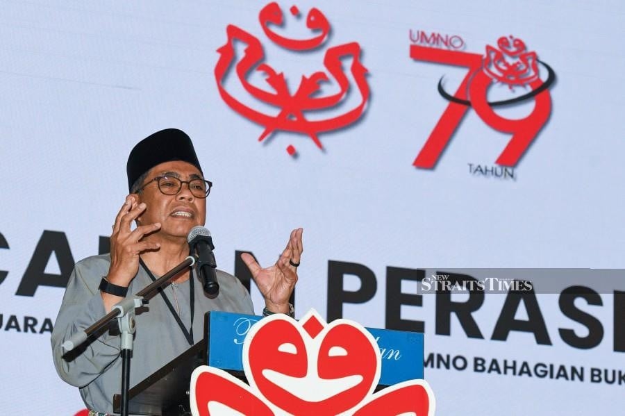 Umno must accept reality that it can't go solo