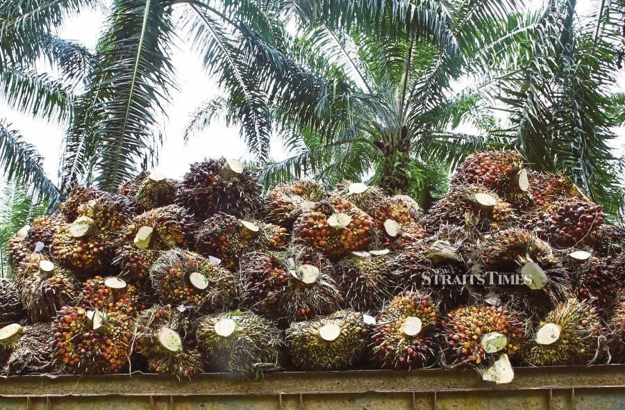 Palm up on stronger rival soyoil, weaker ringgit