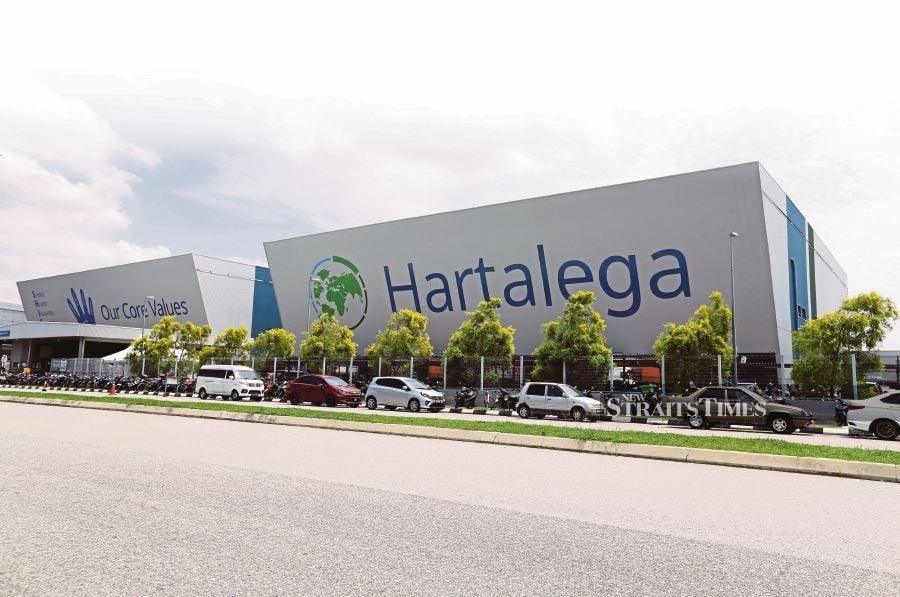 Hartalega downgraded amid sector uncertainty despite earnings surge