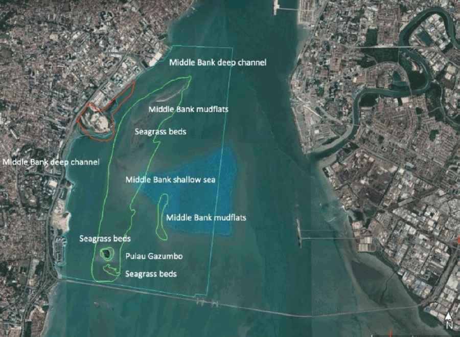 No plans to gazette Middle Bank Marine Sanctuary, says Penang govt