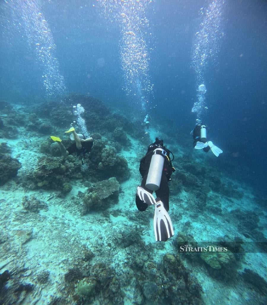 Four Semporna dive operators earn Green Fins eco certification