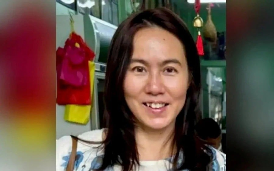 Lawyer calls police's self-abduction theory a 'smokescreen' to deflect delays