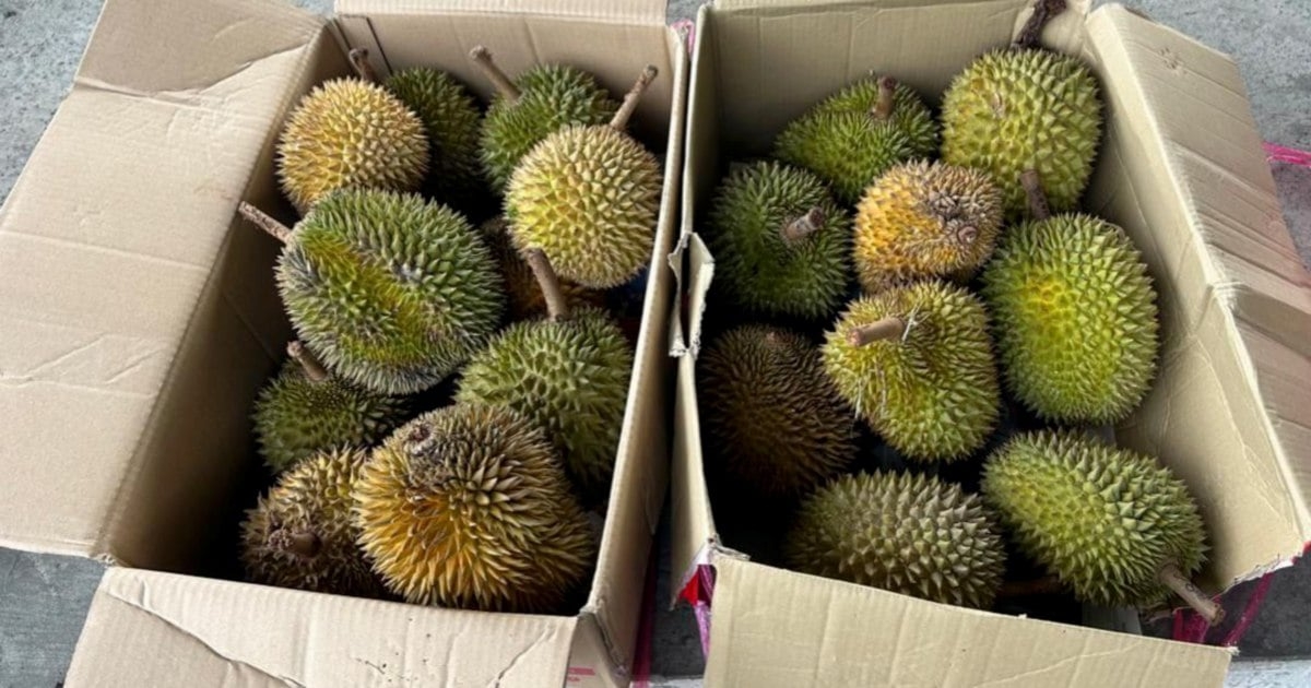 Ripening agent in imported durians could pose health risks if misused