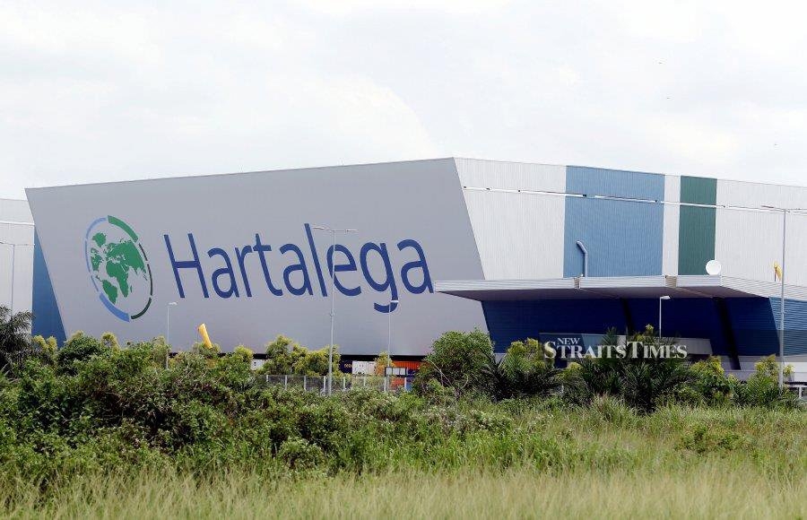 Hartalega FY25 net profit surges nearly six-fold to RM75mil