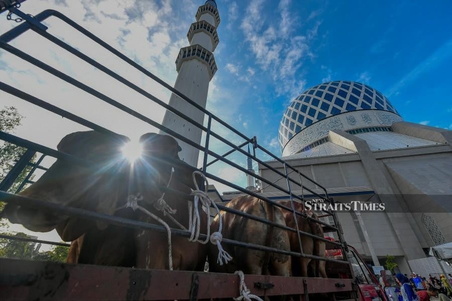 Hari Raya Aidiladha celebrated with festive spirit nationwide