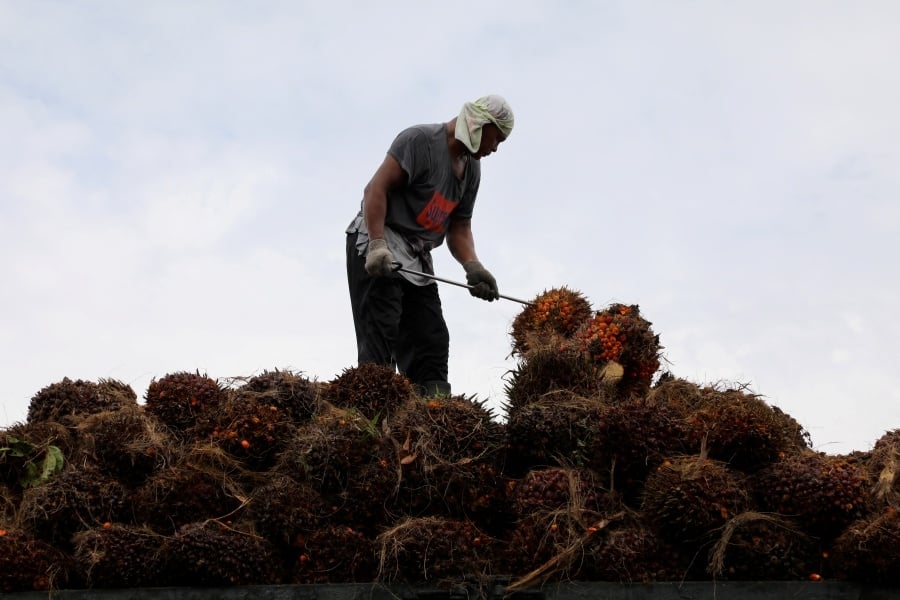 Palm falls on weaker rival oils, rising May stock outlook