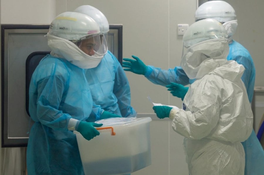 New task force needed to monitor animal-to-human disease risks, say experts