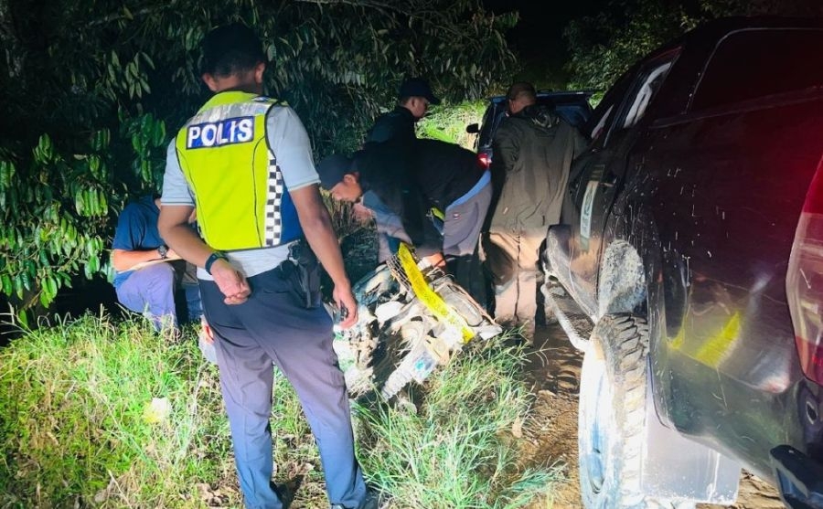 Four Indonesians among five held for encroaching forest reserve in Pahang