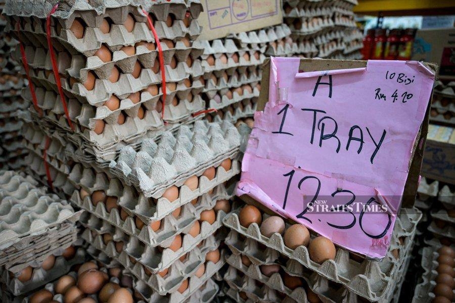 Modest price impact projected as egg subsidy winds down
