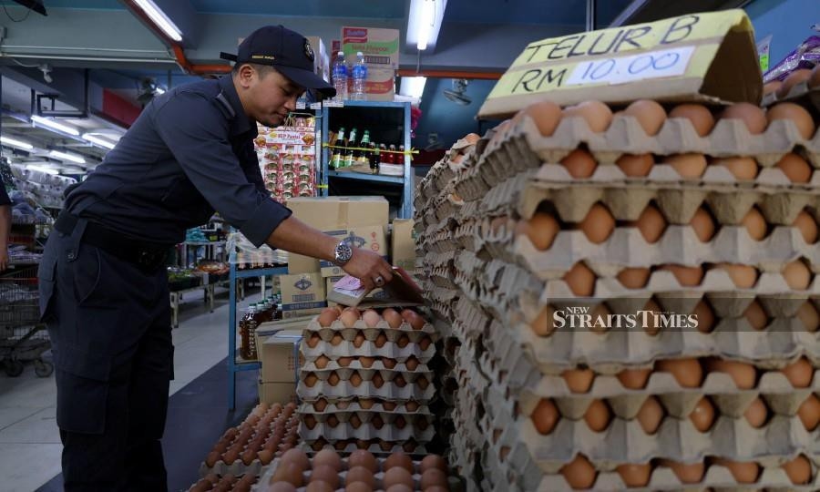 Egg prices hold steady despite subsidy cut