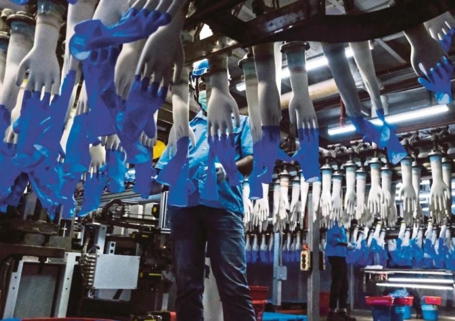 MARGMA urges swift tariff talks with US to safeguard medical glove supply