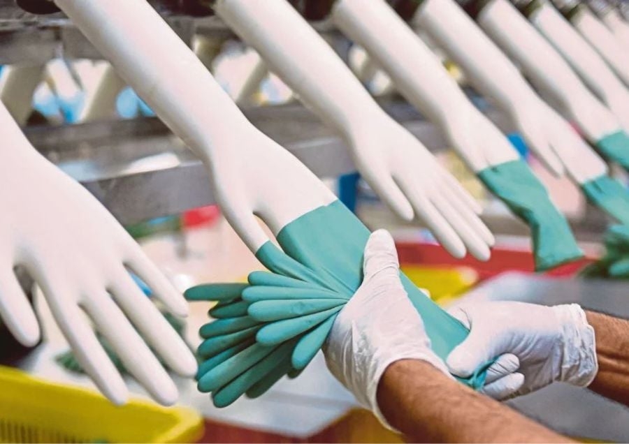 Margma urges review of SST on glove raw materials