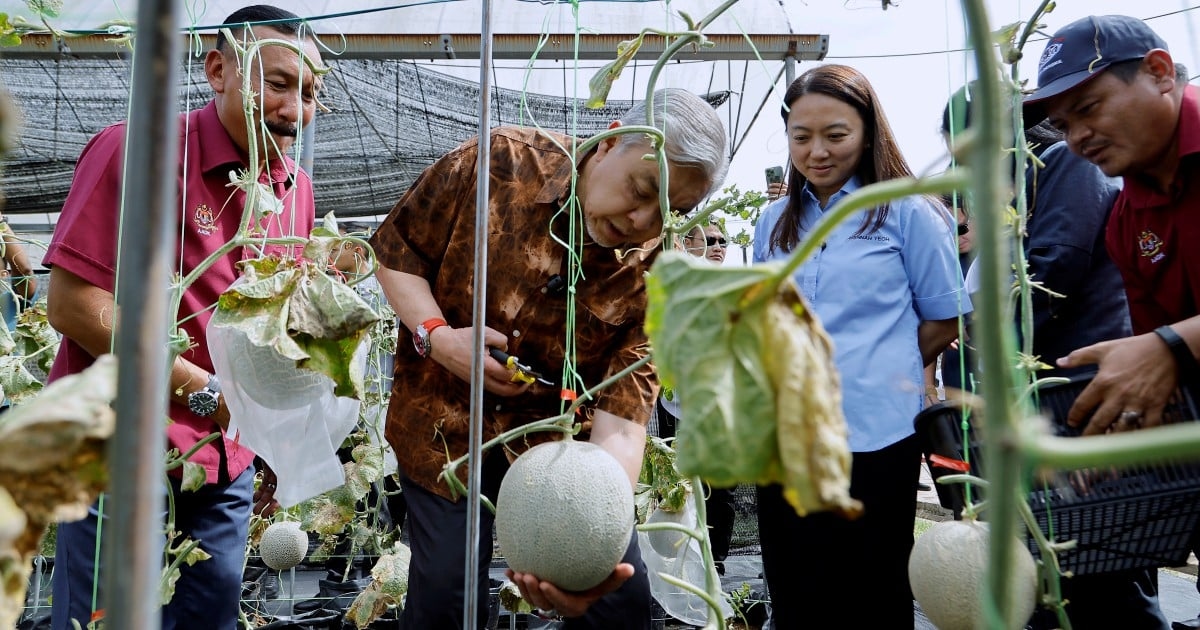 Zahid: Drug rehab modules to include TVET