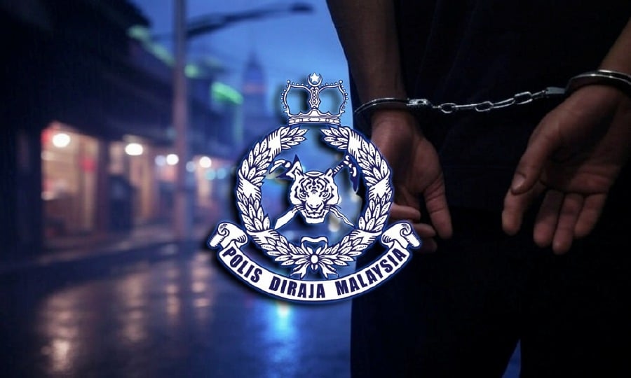 Foreigners behind tourist thefts in Penang nabbed