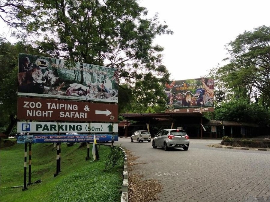 Local council inspects all trees at Taiping Zoo after woman hurt by fallen tree