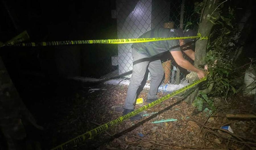 Wild boar carcasses found in Selangor confirmed positive for African Swine Fever