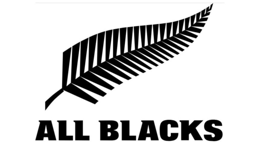Argentina-bound All Blacks rookie forced to scramble after dog eats passport