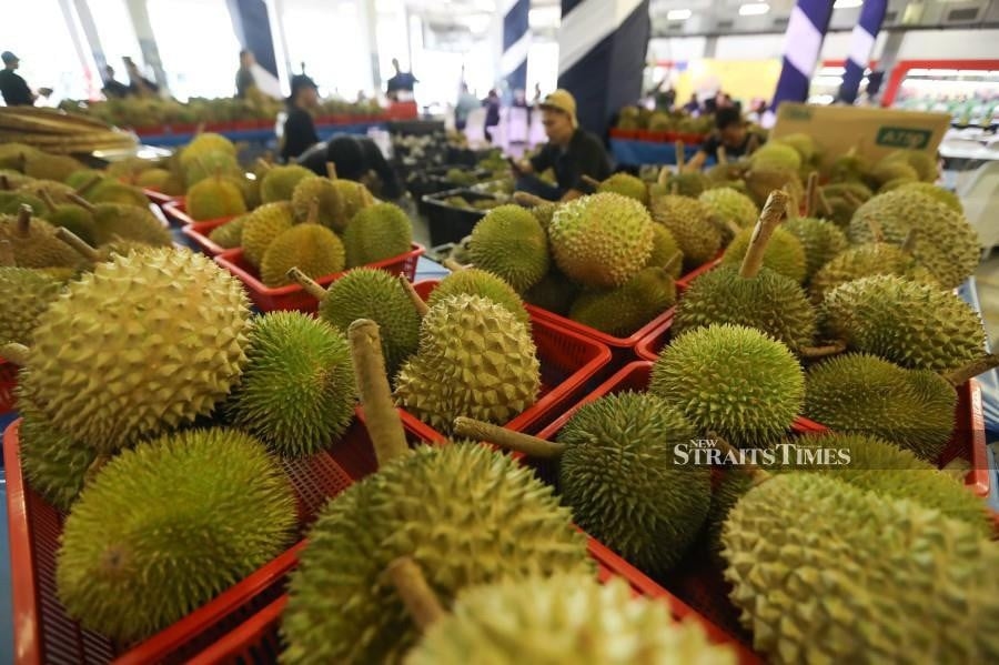 Malaysia's durian exports expected to exceed RM1.5b this year