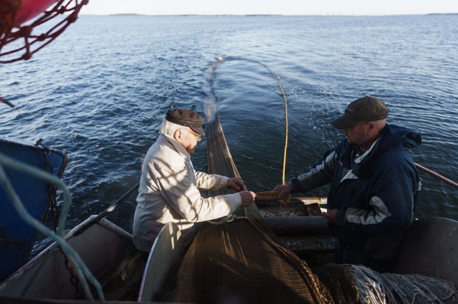 Ailing Baltic Sea in need of urgent attention