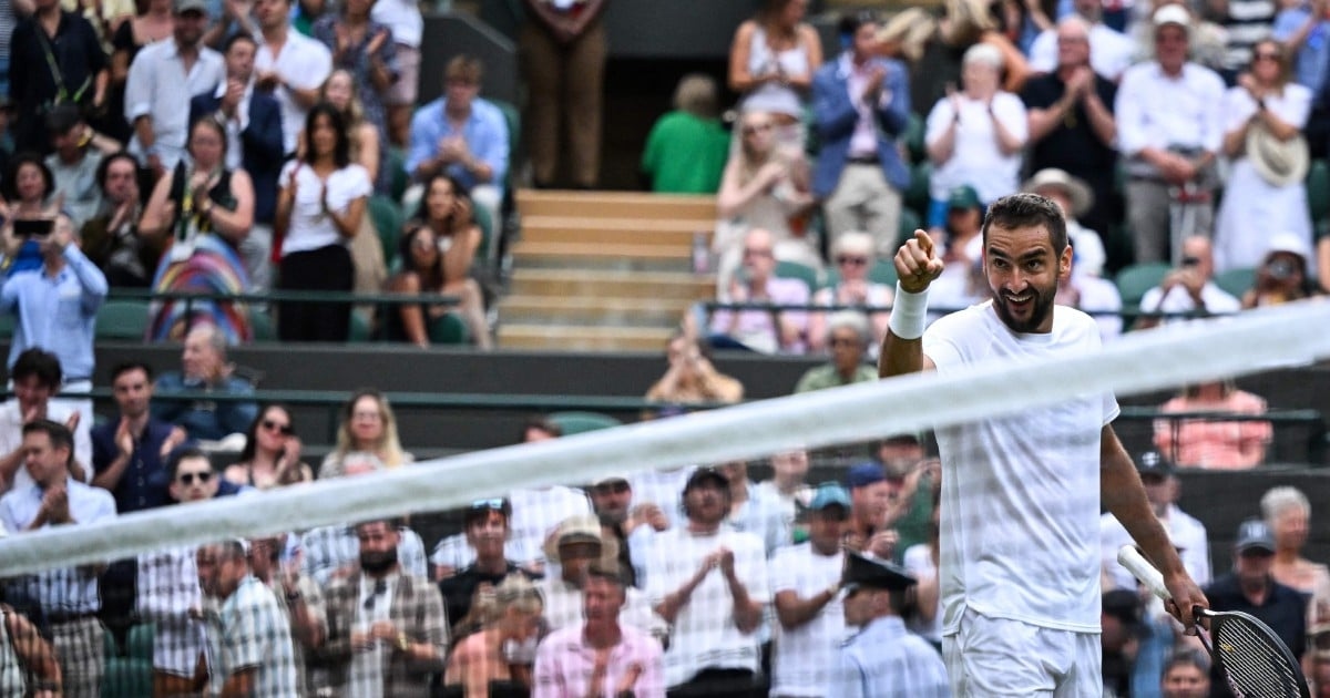 Cilic plays dream-wrecker to British hopes by toppling fourth seed Draper