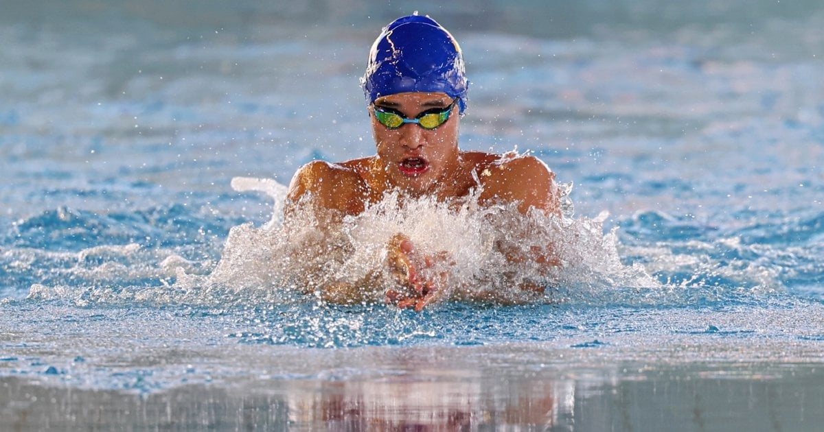 Andrew's non-stop swim season takes him from Germany to Singapore