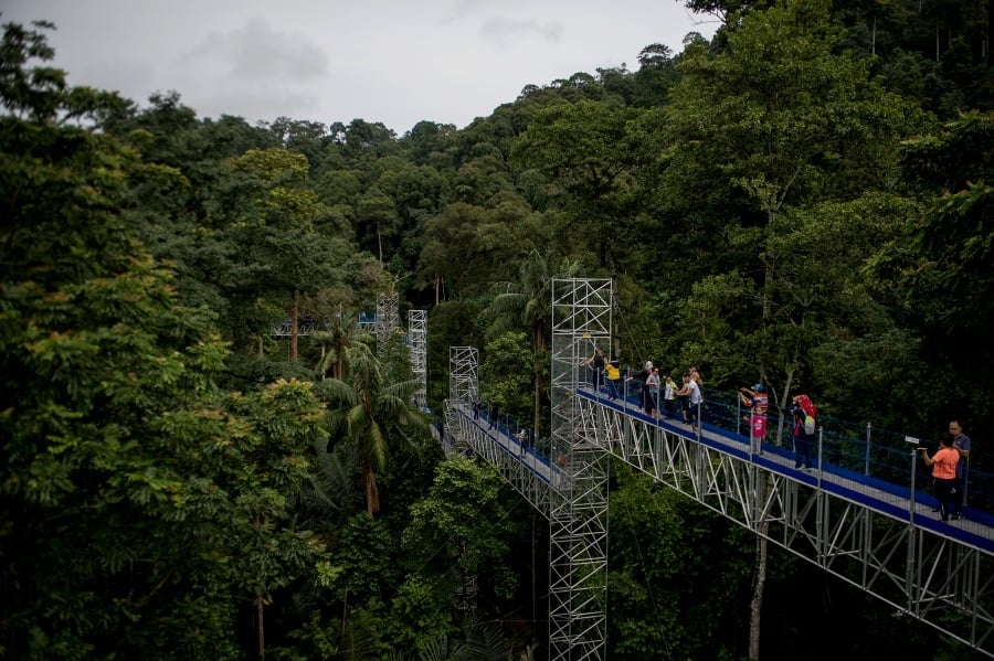 FRIM —a testament to Malaysia's innovative green approach