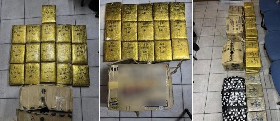 Police seize 69.82kg ganja, arrest suspected dealer in Melawati