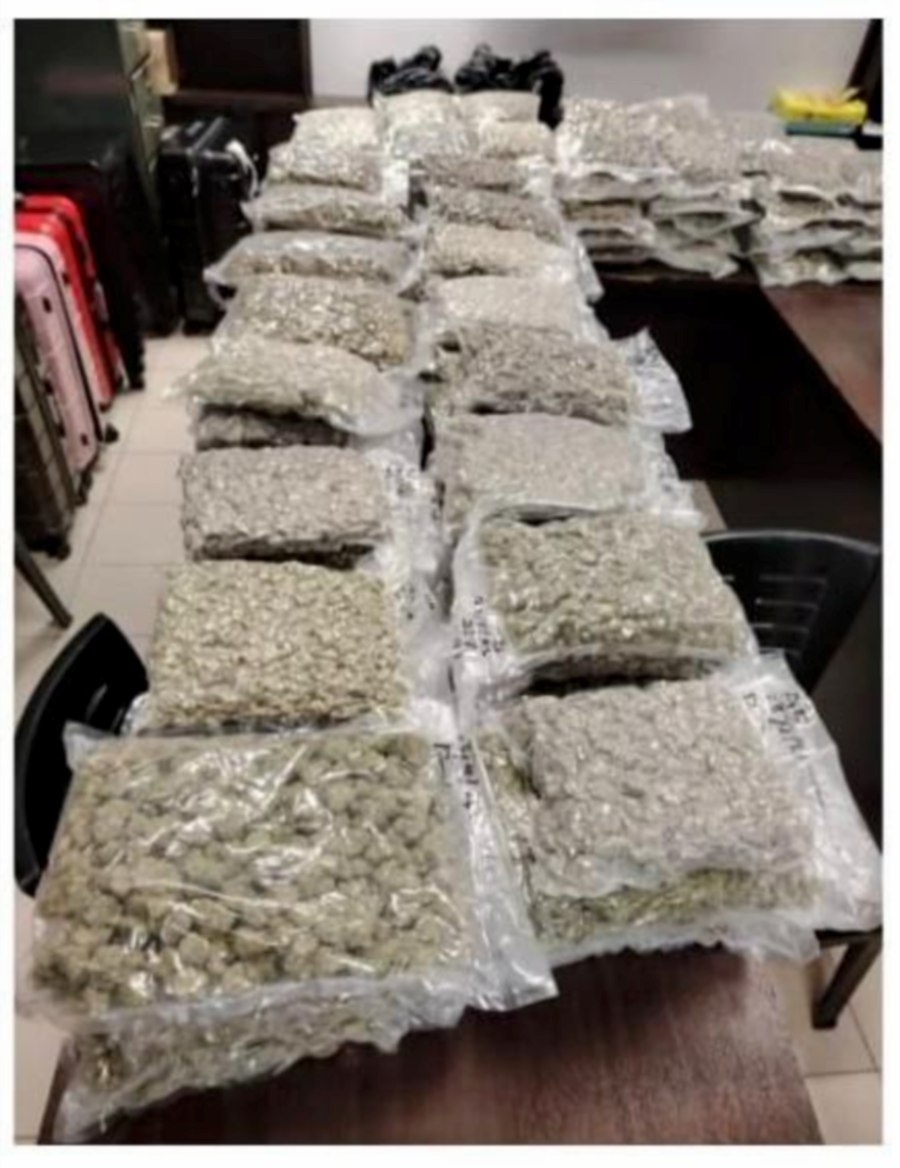 [UPDATED] Cops bust ganja ring shipping to Europe
