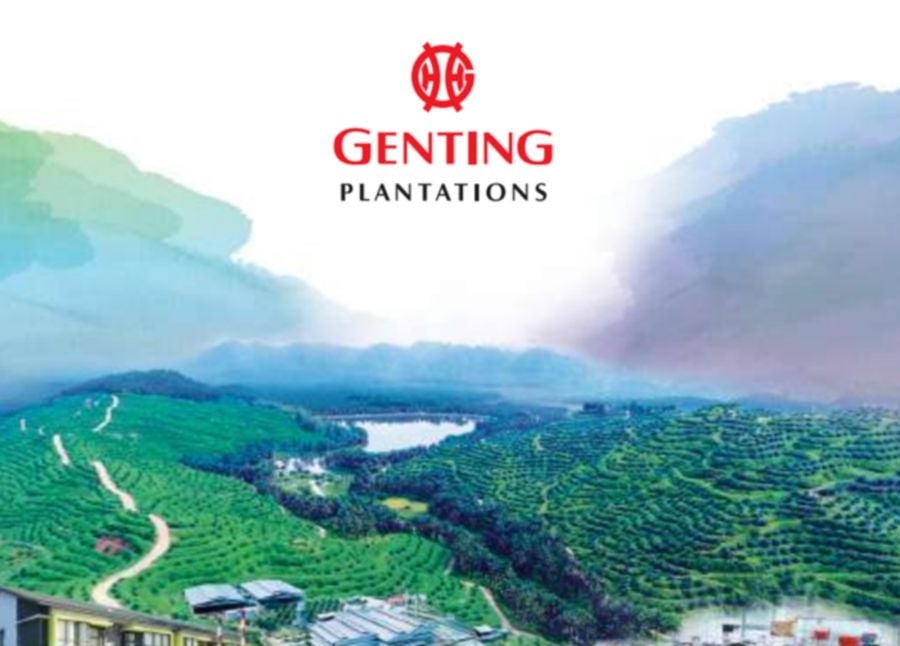 Genting Plantations seed venture to bolster diversification