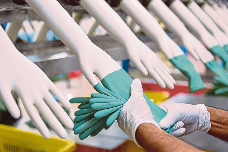 MARGMA backs directive requiring full local manufacturing for glove exports