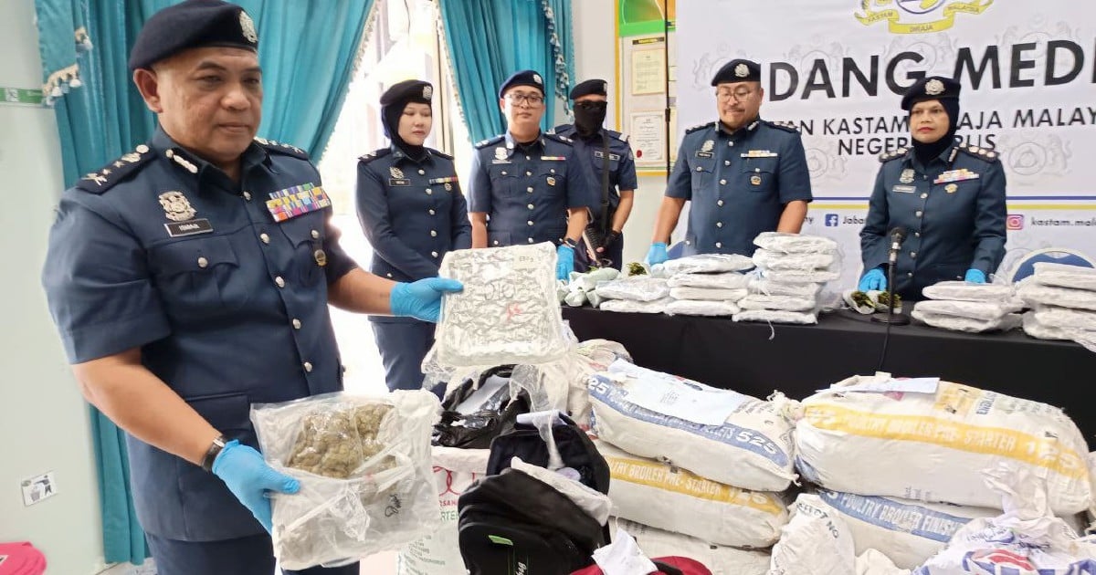 Customs seizes RM2mil cannabis from abandoned car at Malaysia-Thai border