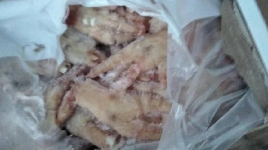 Frozen chicken feet worth RM1.4mil seized in Thai border smuggling attempt