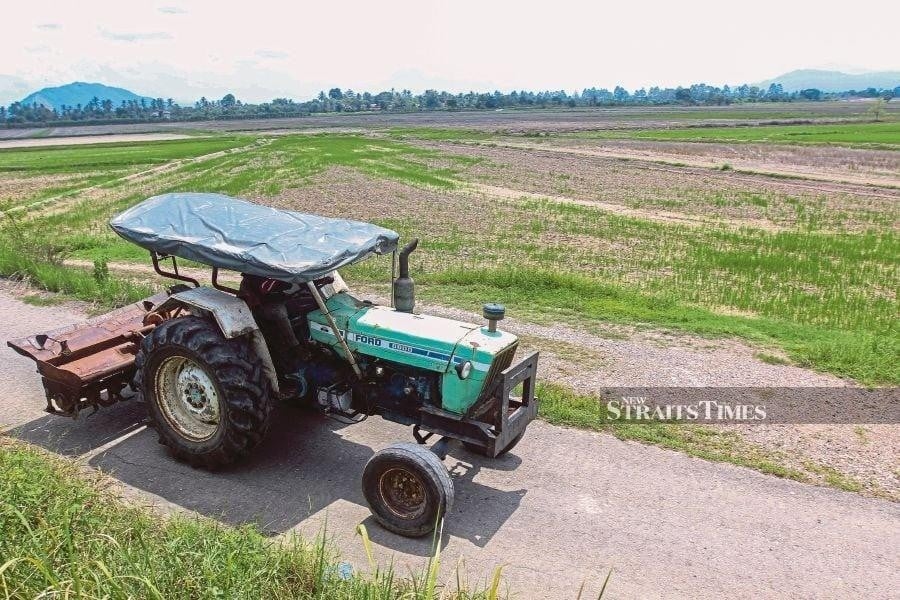 Malaysia's food resilience hinges on risk management