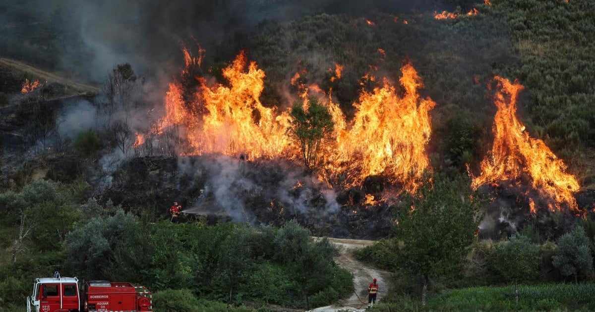 Child dies in Italy as European heatwave sets records and sparks wildfires
