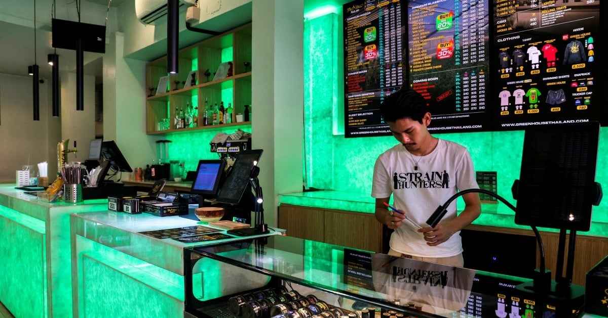 Thailand moves to recriminalise cannabis, shaking US$1 bln industry