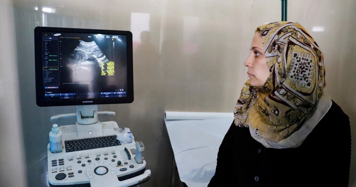 Pregnant and displaced: Struggle for survival in Gaza