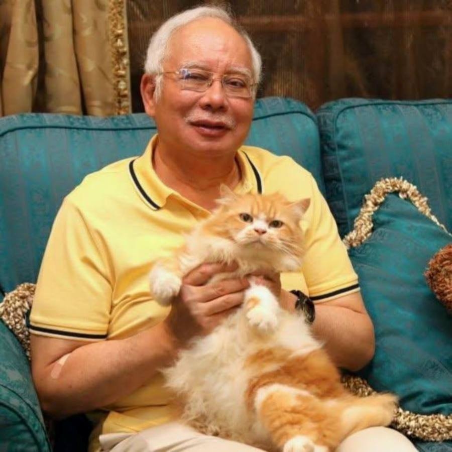 Ex-PM Najib mourns death of pet cat Kiky