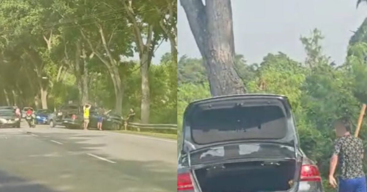 Two more men arrested over Jasin roadside brawl