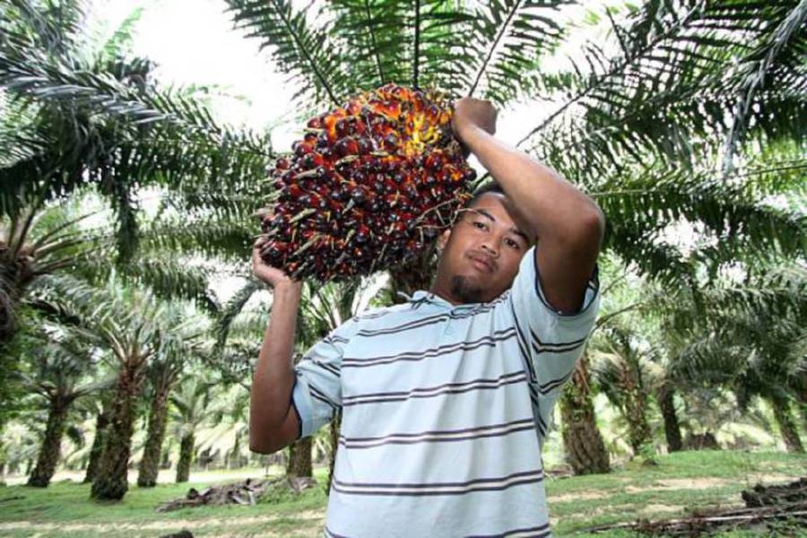 Palm falls on weaker soyoil, concerns over rising output, stock levels