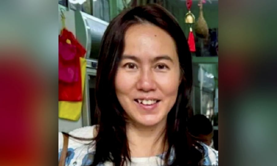 Five cloned vehicles involved in confrontation before Pamela Ling's disappearance