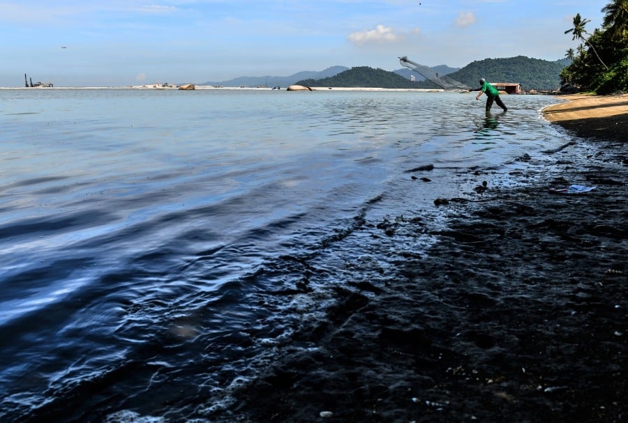 Indonesia's fisheries sector sees growth
