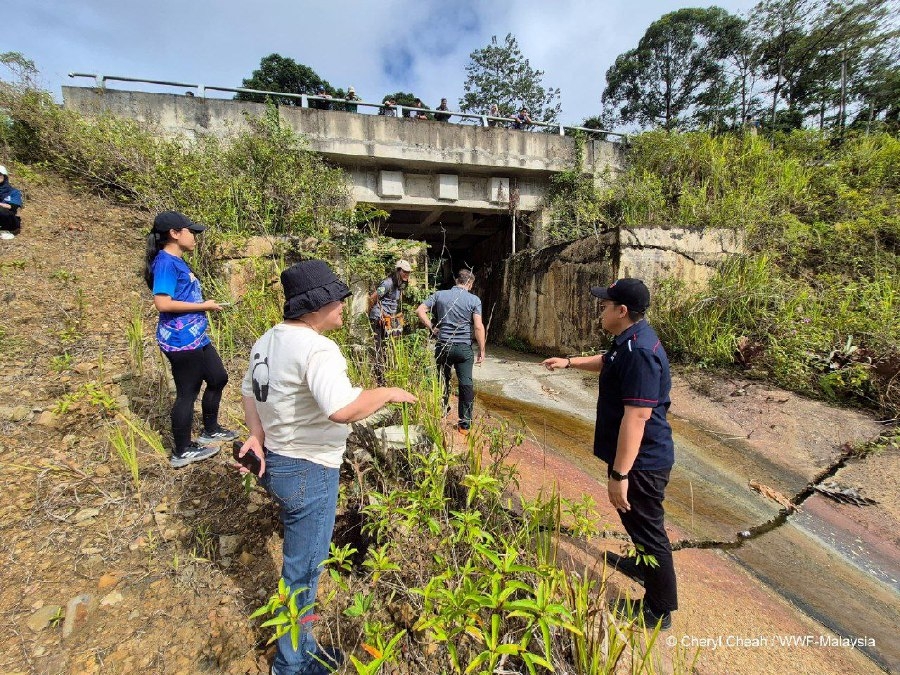 Sabah to consider wildlife-friendly roads for Phase 3 of Pan Borneo Highway