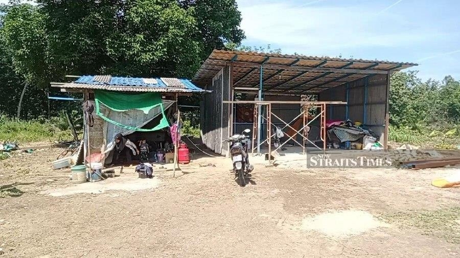 Family of seven lives in makeshift hut