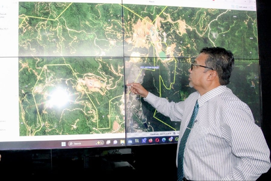 Well-organised rings linked to illegal mineral mining, says Forestry Dept D-G
