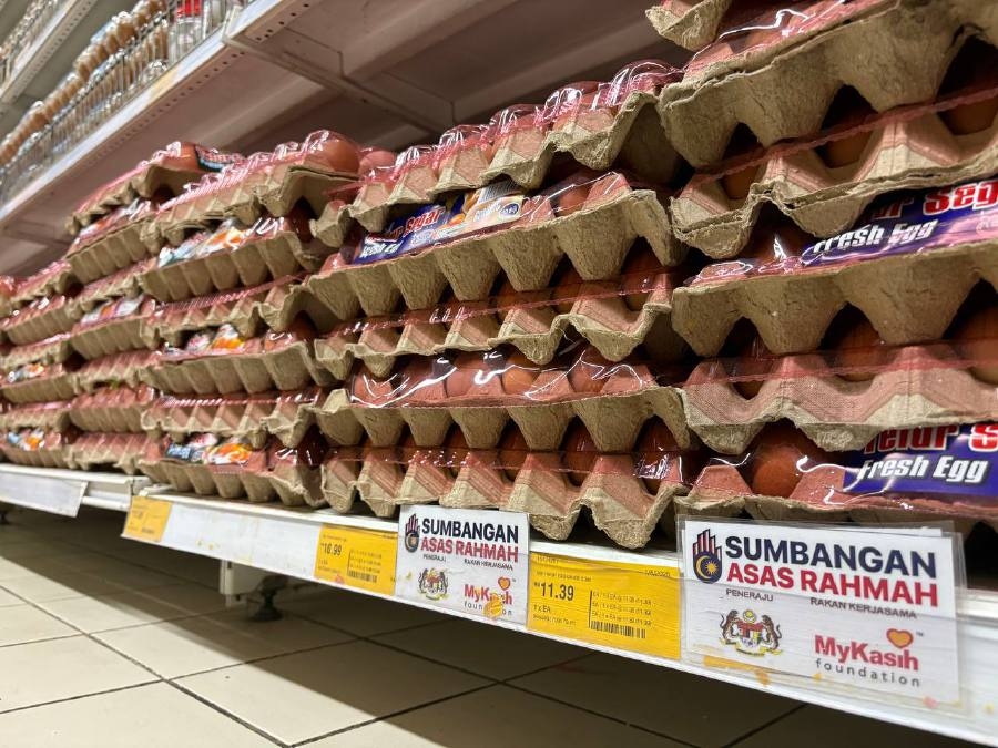 Chicken egg prices in Kedah stable despite subsidy removal