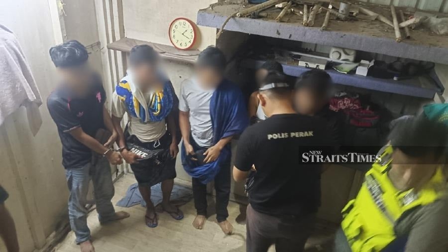 Police arrest 81 illegal immigrants in palm oil theft crackdown