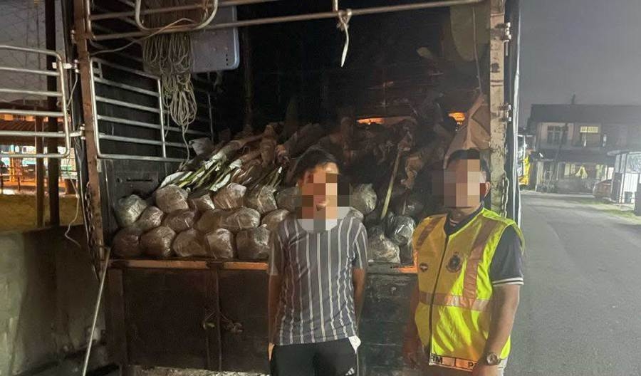 Smuggled ornamental plants worth RM2.6mil seized in Rantau Panjang